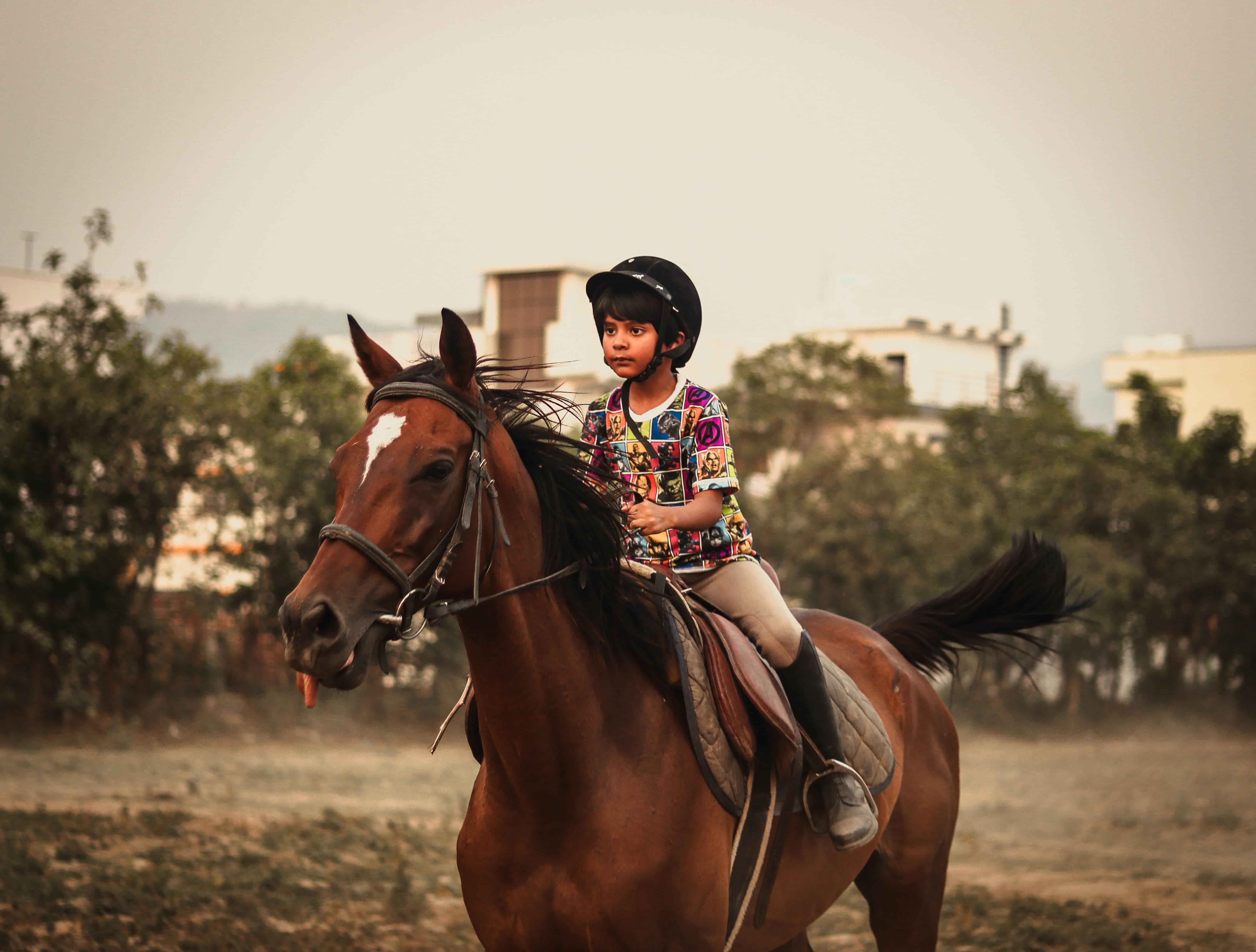 Horse Riding 3